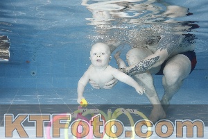 Photo 4208878