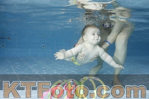 Photo 4208882