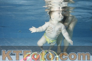 Photo 4208883