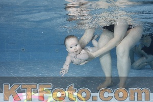 Photo 4208885