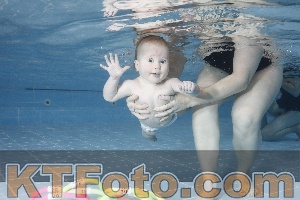 Photo 4208886
