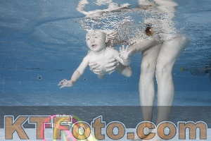 Photo 4208887