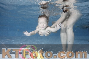 Photo 4208888