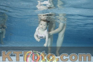 Photo 4208891