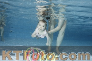 Photo 4208892