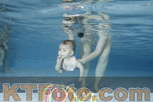 Photo 4208893