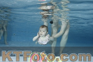Photo 4208894