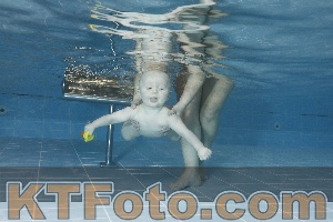 Photo 4208896