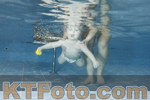 Photo 4208897