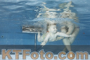 Photo 4208898