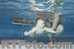 Photo 4208899