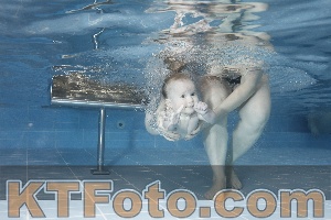 Photo 4208901