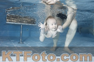 Photo 4208902