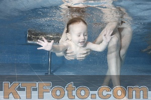 Photo 4208905