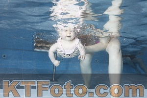 Photo 4208907