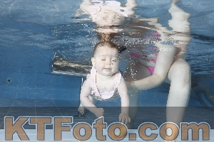 Photo 4208908