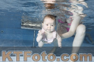 Photo 4208909