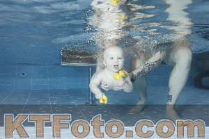 Photo 4208910