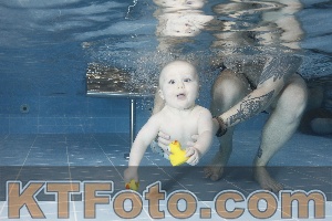 Photo 4208911