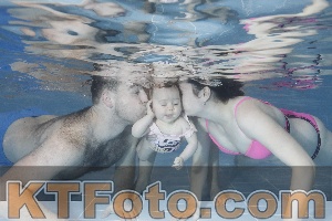 Photo 4208955