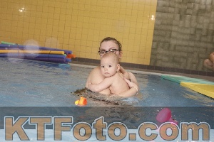 Photo 4209039