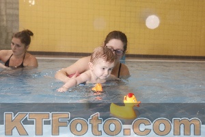 Photo 4209049