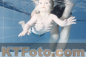 Photo 4209091