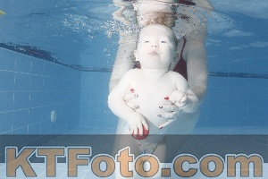 Photo 4209092
