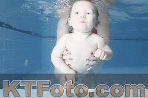 Photo 4209093