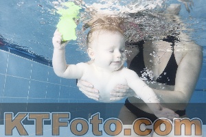 Photo 4209094