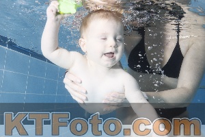 Photo 4209095
