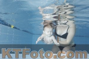 Photo 4209096