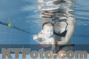 Photo 4209097