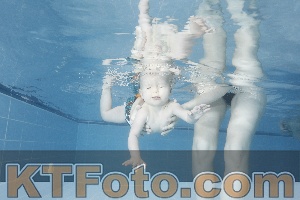 Photo 4209098