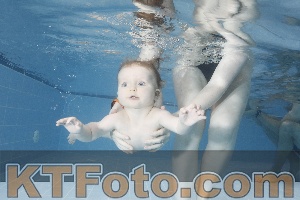 Photo 4209100