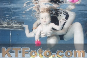 Photo 4209128
