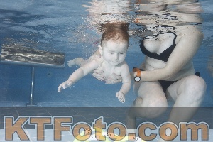 Photo 4209130