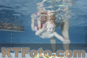 Photo 4209134