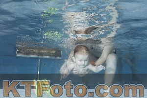 Photo 4209151