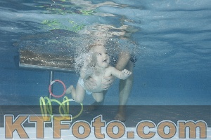 Photo 4209152