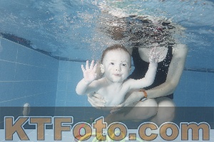 Photo 4209315