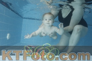 Photo 4209319