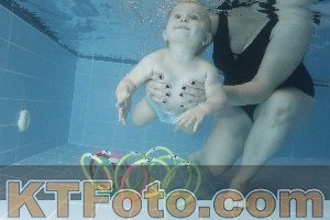 Photo 4209320