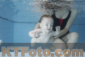 Photo 4209326