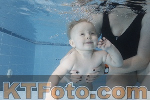 Photo 4209329