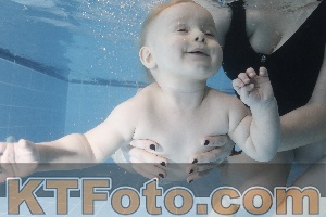 Photo 4209330