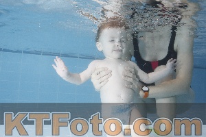 Photo 4209333