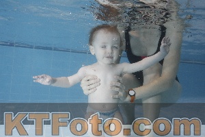 Photo 4209334