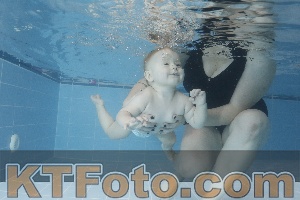 Photo 4209336