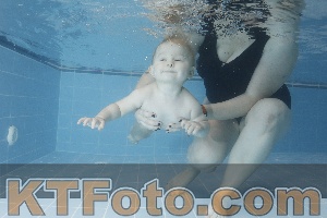 Photo 4209337
